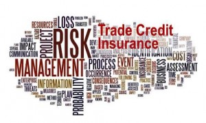 Trade Credit Insurance 300