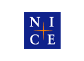 nice-korea-rbm_client_nice_logo